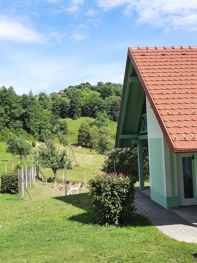 Holiday Home Neokrnjena Narava Sevnica Екстер'єр фото