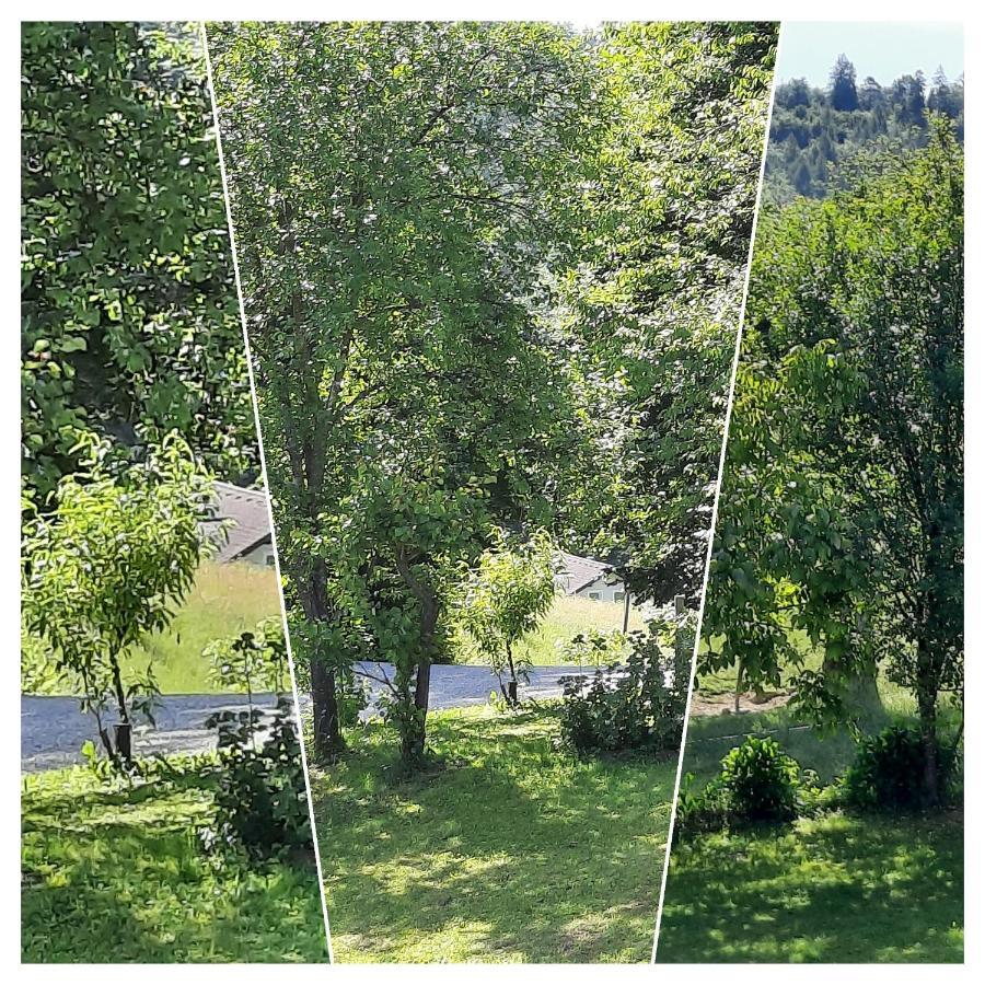 Holiday Home Neokrnjena Narava Sevnica Екстер'єр фото