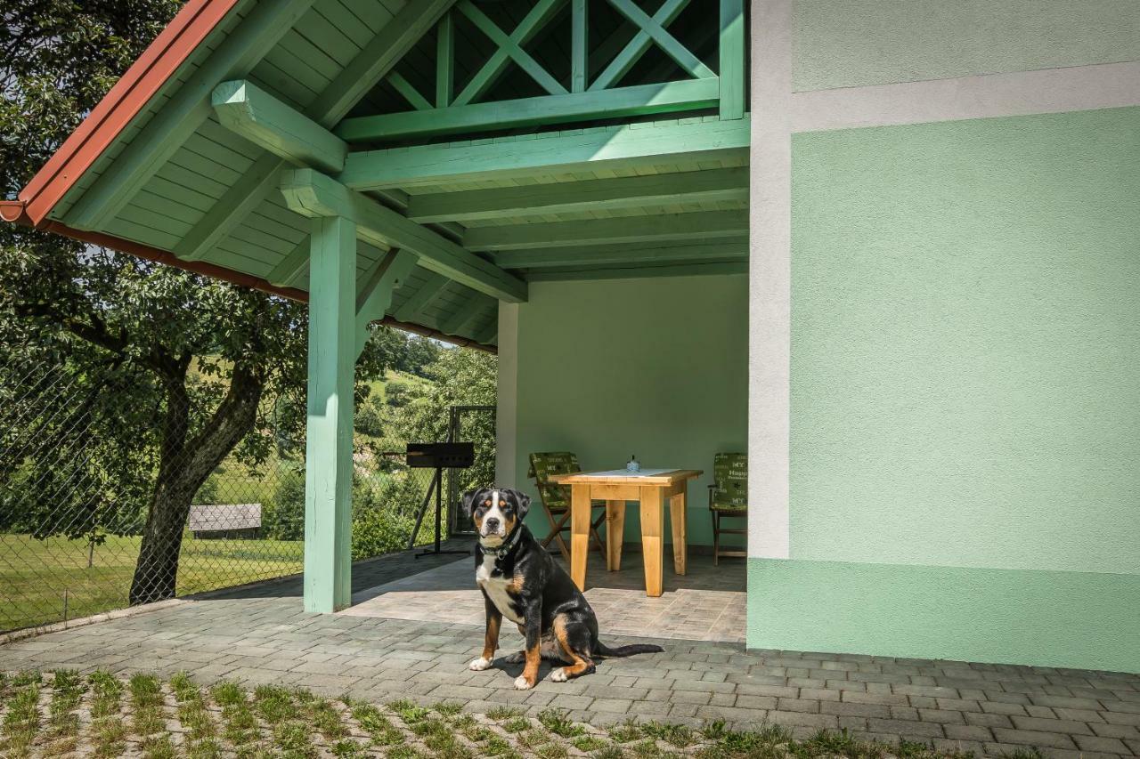 Holiday Home Neokrnjena Narava Sevnica Екстер'єр фото