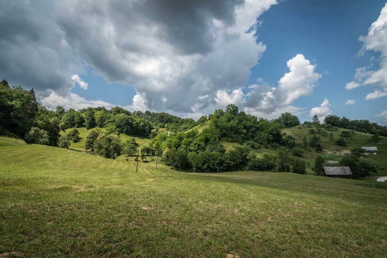 Holiday Home Neokrnjena Narava Sevnica Екстер'єр фото